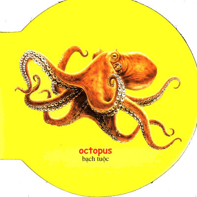 Từ Điển Anh - Việt Bằng Hình: Sea Animals - Động Vật Biển