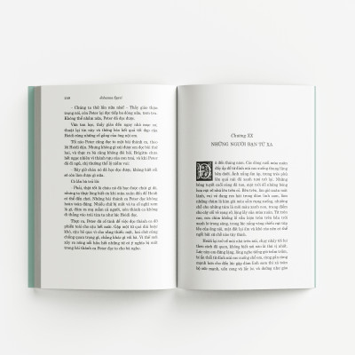 Heidi TB100 (Bìa mềm)