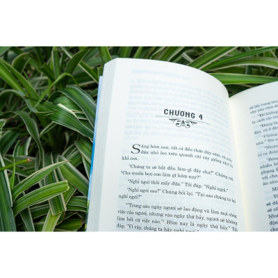 Sách - Lớn Lên Trên Đảo Vắng - Johann David Wyss - Đinh Tị Books