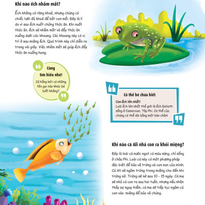 When? Bố Mẹ Ơi Khi Nào…? Những Câu Hỏi When Giúp Con Tò Mò Sáng Tạo?