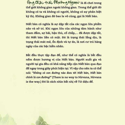 Rong Chơi Trời Phương Ngoại (Tái bản năm 2020)