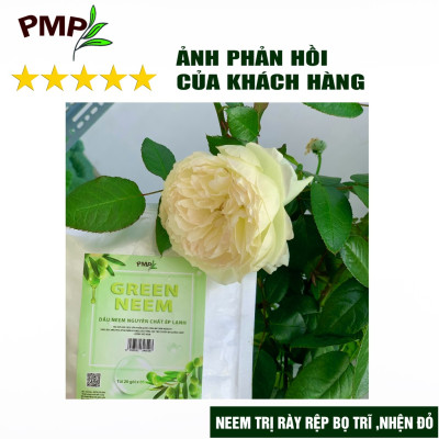 Combo 2 Túi Dầu Neem Oil Hữu Cơ PMP Nguyên Chất Loại Bỏ Rệp, Nhện Đỏ, Nấm, Sâu Bệnh Cho Hoa Hồng, Rau Sạch Green Neem