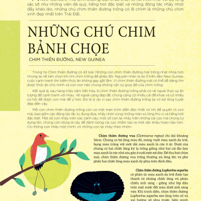 Bách Khoa Tri Thức Về Các Kỳ Quan Thế Giới - Kỳ Quan Tự Nhiên