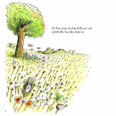 Sói Xám Sốt Sắng Săn