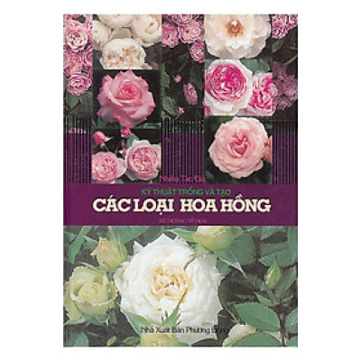 Sách - Kỹ Thuật Trồng Và Tạo Các Loại Hoa Hồng - Chính Thông Book