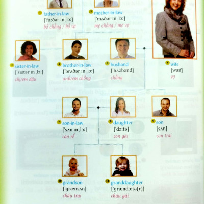 Từ Vựng Tiếng Anh Bằng Hình Theo Chủ Đề