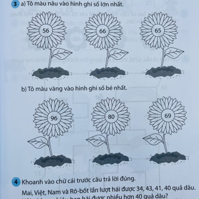 Sách - Vở bài tập - Thực hành Toán lớp 1 tập 1+2 (Kết nối tri thức với cuộc sống)