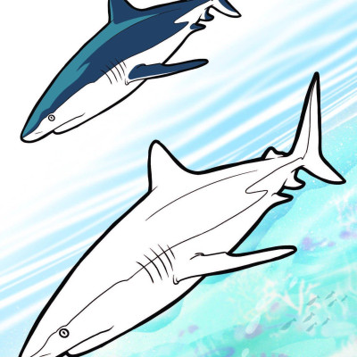 Nào Mình Cùng Tô Màu Nhé! - Đại Dương