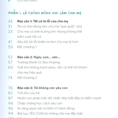 Làm Cha Mẹ Hoàn Hảo - Vượt Qua Rào Cản, Can Đảm Nuôi Con