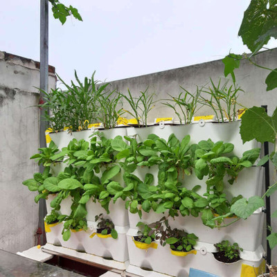 Khung Module Rau Ban Công (1M2 xếp ngang Có Tưới Nhỏ giọt bán tự động) dạng Đứng VerticalMinigarden nhập khẩu Bồ Đào Nha với 8 chậu kèm 2 Tray hứng nước và bộ dây tưới nhỏ giọt lắp sẵn