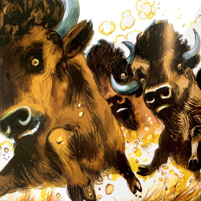 Sách: Lại chuyện xóm gà - Pitikok và bê rừng bé bỏng