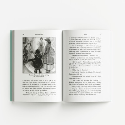 Heidi TB100 (Bìa mềm)