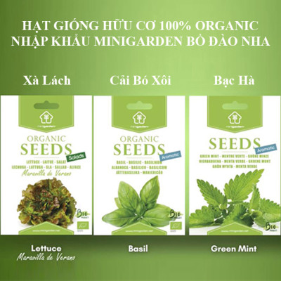 Set 6 Hạt Giống Hữu Cơ Xà Lách Nhập Khẩu Bồ Đào Nha 100% Ogranic, hiệu Minigarden Lettuce - Maravilla De Verano (Túi từ 1.500 - 2.100 hạt) Tỷ lệ nảy mầm cao