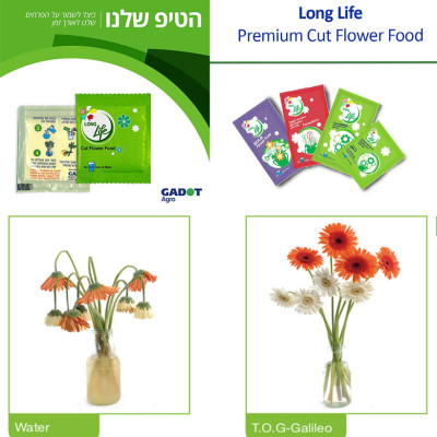 Bột Cắm Hoa ISRAEL (Combo 50 gói dưỡng hoa), Hiệu Longlife giữ hoa tươi lâu gấp 2 lần và 14 ngày không thay nước mới