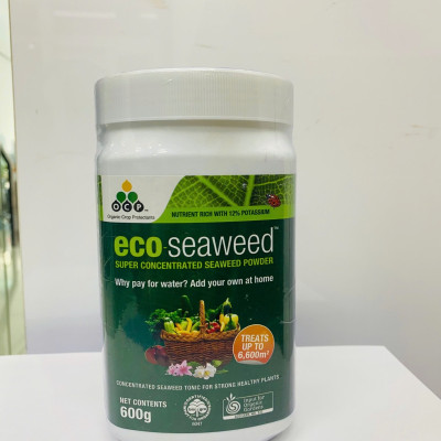 Eco Seaweed Úc 100% từ tảo nâu (hộp 600g)