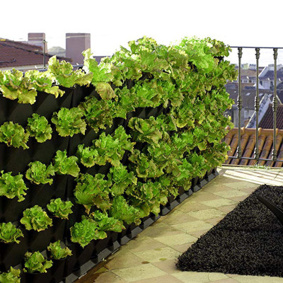 1m2 Khung Trồng Rau Sạch Đứng Ban Công Chung Cư Minigarden Vertical Phong Cách Châu Âu (gồm 8 module và 1 khay hứng nước) Không Kèm Hệ Thống Tưới Nhỏ Giọt và năng suất rau sạch đạt gấp 3 lần bình thường