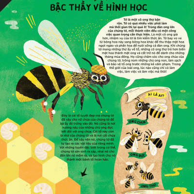 Động Vật Có Tầm Ảnh Hưởng - Hạng Mục: Xây Dựng - Nguồn Cảm Hứng Cho Những Công Trình Kiến Trúc Của Loài Người