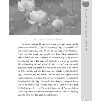 Những Bài Văn Mẫu Lớp 8 (Tập 2)