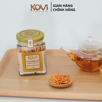 Đông trùng hạ thảo KOVI ký chủ nhộng tằm nguyên con cao cấp | 50 con | Đẹp đẳng cấp sang trọng