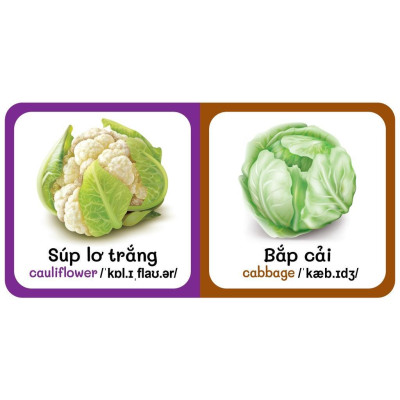 Sách - Boxset Vàng 9 Cuốn Từ Điển Bằng Hình Đầu Tiên Của Bé Từ 0-6 Tuổi - Song Ngữ Anh Việt - Việt Thư