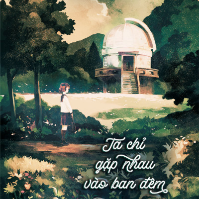 Ta Chỉ Gặp Nhau Vào Ban Đêm