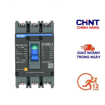 Hãng Chint Cầu dao đóng ngắt, Aptomat,CB khối NXM 3P 125A và 200A 3 pha