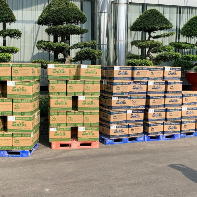 Thùng 25 Gói Loại 75Gram, Bánh Tráng Gạo Mè Cao Cấp Nướng Sẵn Sachi