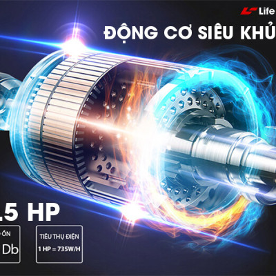 Máy Chạy Bộ Lifesport LS-5000,Máy Chạy Bộ Hiển Thị Nhịp Tim Lượng Calo Và Tốc Độ Và Quãng Đường Chạy, Vùng Chạy Rộng