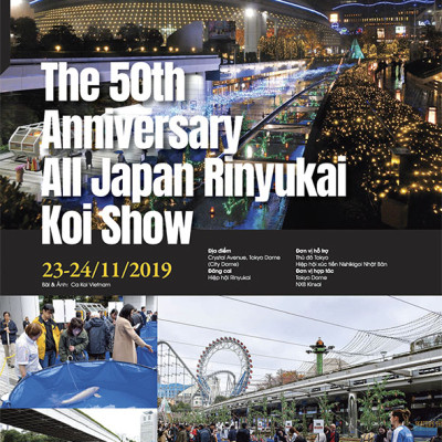 Cá Koi Vietnam - Combo 3 cuốn (Tập 4, 5, 6)