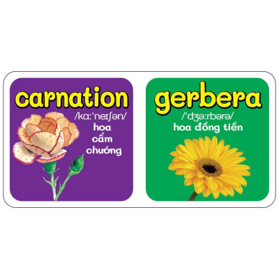 Sách - Boxset Hồng 9 Cuốn Từ Điển Bằng Hình Đầu Tiên Của Bé Từ 0-6 Tuổi - Song Ngữ Anh Việt - Việt Thư