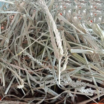 Cỏ mần trầu khô gói túi 1kg