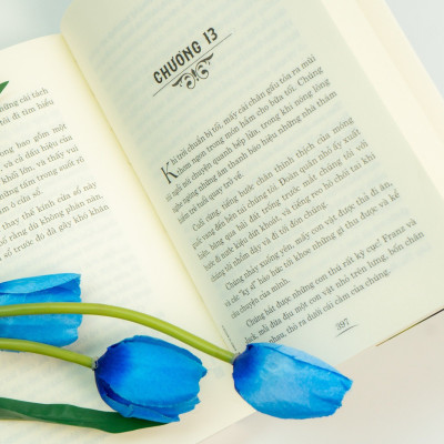 Sách - Lớn lên trên đảo vắng - Cuộc phưu lưu kịch tính của gia đình Robinson - Đinh Tị Books