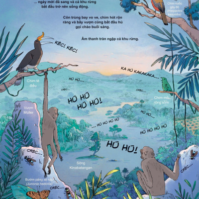 24 Giờ Trong Rừng Nhiệt Đới