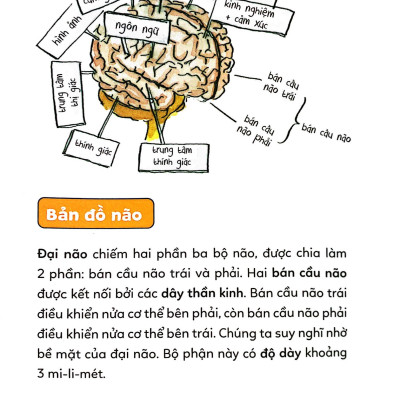 Pixi thông thái - Cơ thể diệu kỳ