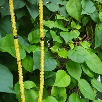 Sợi Dây Chuỗi Đeo Cổ Hổ Phách Bánh Xe Vàng Anh trang sức phong thủy quý hiếm sang đẹp 7mm 100% qua sự hóa thạch nhựa cây thông cổ đại quý giá và có giá trị cao  Rất hợp mệnh kim, thổ, thủy tốt sức khỏe,may mắn khó có loại đá nào sánh kịp ạ