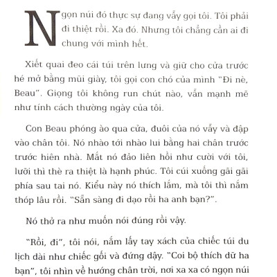 Năm Ngày Đi Bụi Hay Cuộc Phiêu Lưu Kỳ Lạ Của Một Cậu Nhóc Ung Thư (Tái Bản 2023)