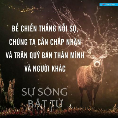 Sách - Sự Sống Bất Tử - First  News