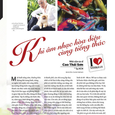 Cá Koi Vietnam - Combo 3 cuốn (Tập 7, 8, 9)