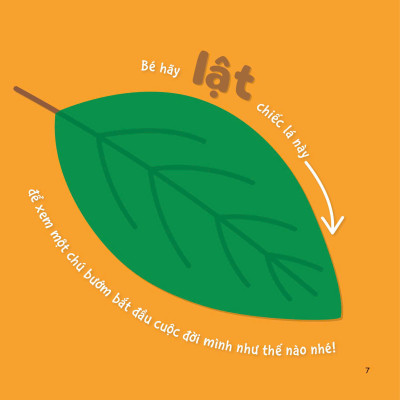 Sự Sinh Trưởng Kỳ Diệu Của Vạn Vật - Vòng Đời Của Bướm