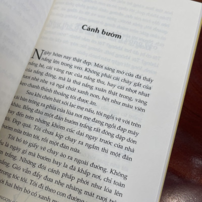 ĐU ĐƯA TRÊN NGỌN CÂY BÀNG