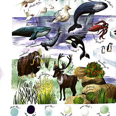 Những Mảnh Ghép Đa Sắc Của Các Hệ Sinh Thái