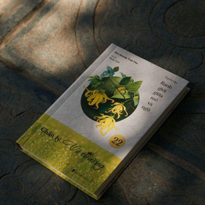 Sách - Chân Lí Vô Thường - Tập 22 - Tuyển Tập Ranh Giới Giữa Mê Và Ngộ - Vĩnh Nghiêm Books