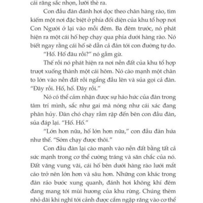 Mèo Chiến Binh - Con Đường Hiểm Nguy