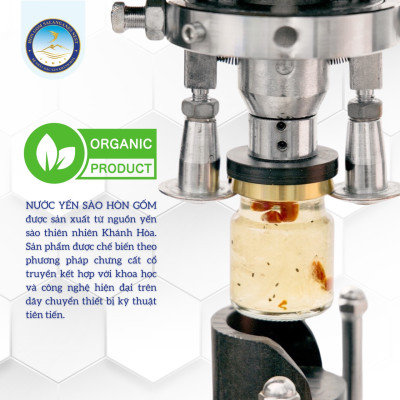 [Hộp 6 Hũ] Tổ Yến Sào Chưng Nhân Sâm - Yến Sào Hòn Gốm Chính Hiệu Khánh Hòa - HGK NEST