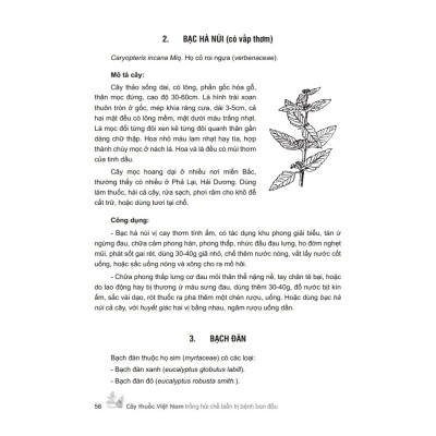 Sách - Cây thuốc V,iệt Nam trồng hái chế biến tr,ị bệnh ban đầu (bìa cứng) ( MT)