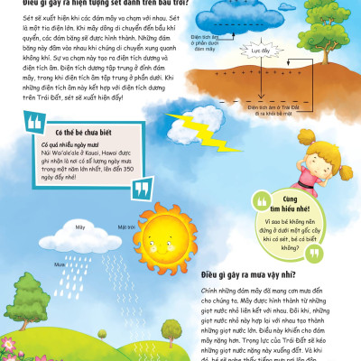 What? Bố Mẹ Ơi Đây Là Cái Gì…? Những Câu Hỏi What Giúp Con Tò Mò Sáng Tạo?