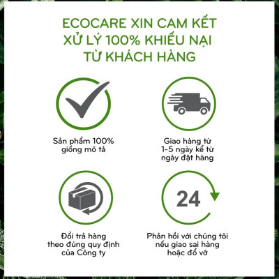 Nước rửa tay hữu cơ diệt khuẩn dạng bọt tinh dàu Cam 250ml thương hiệu Ecocare