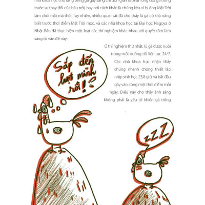 Không Có Câu Hỏi Nào Ngớ Ngẩn - Tập 2