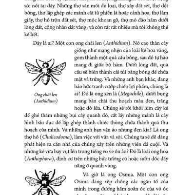 Combo 5 tập Côn trùng ký (1 - 5) - Ấn bản đầy đủ