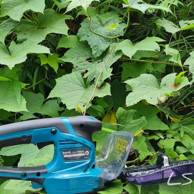 MÁY TỈA HÀNG RÀO PIN 12V  200 MM MAKITA UH201DWAX (1 PIN 12V MAX 2.0AH VÀ 1 SẠC NHANH.) - HÀNG CHÍNH HÃNG